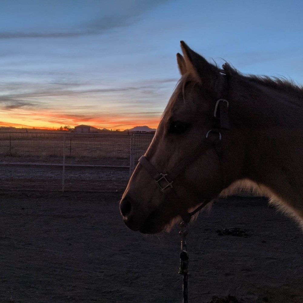 Meet your Posher, Ann